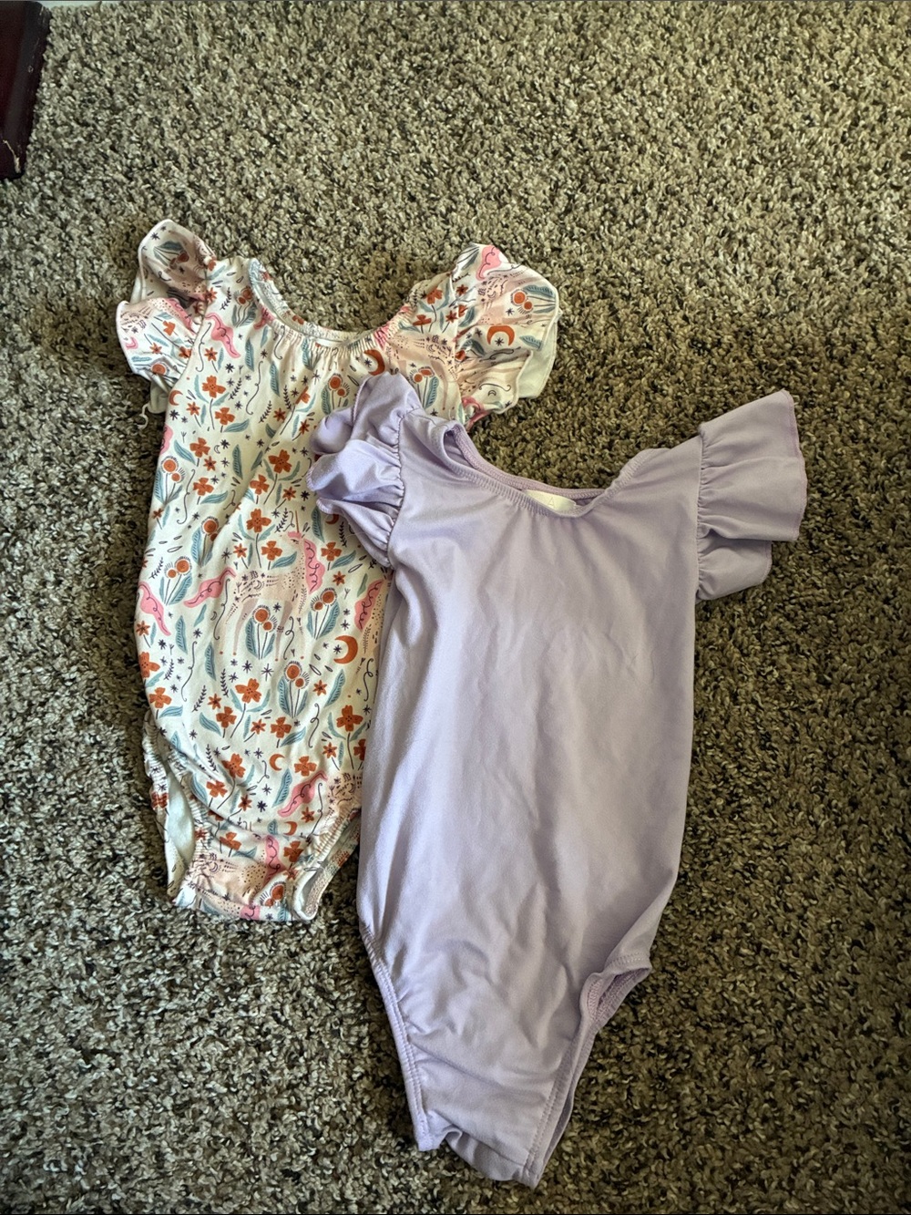Mila and Rose Leotards
